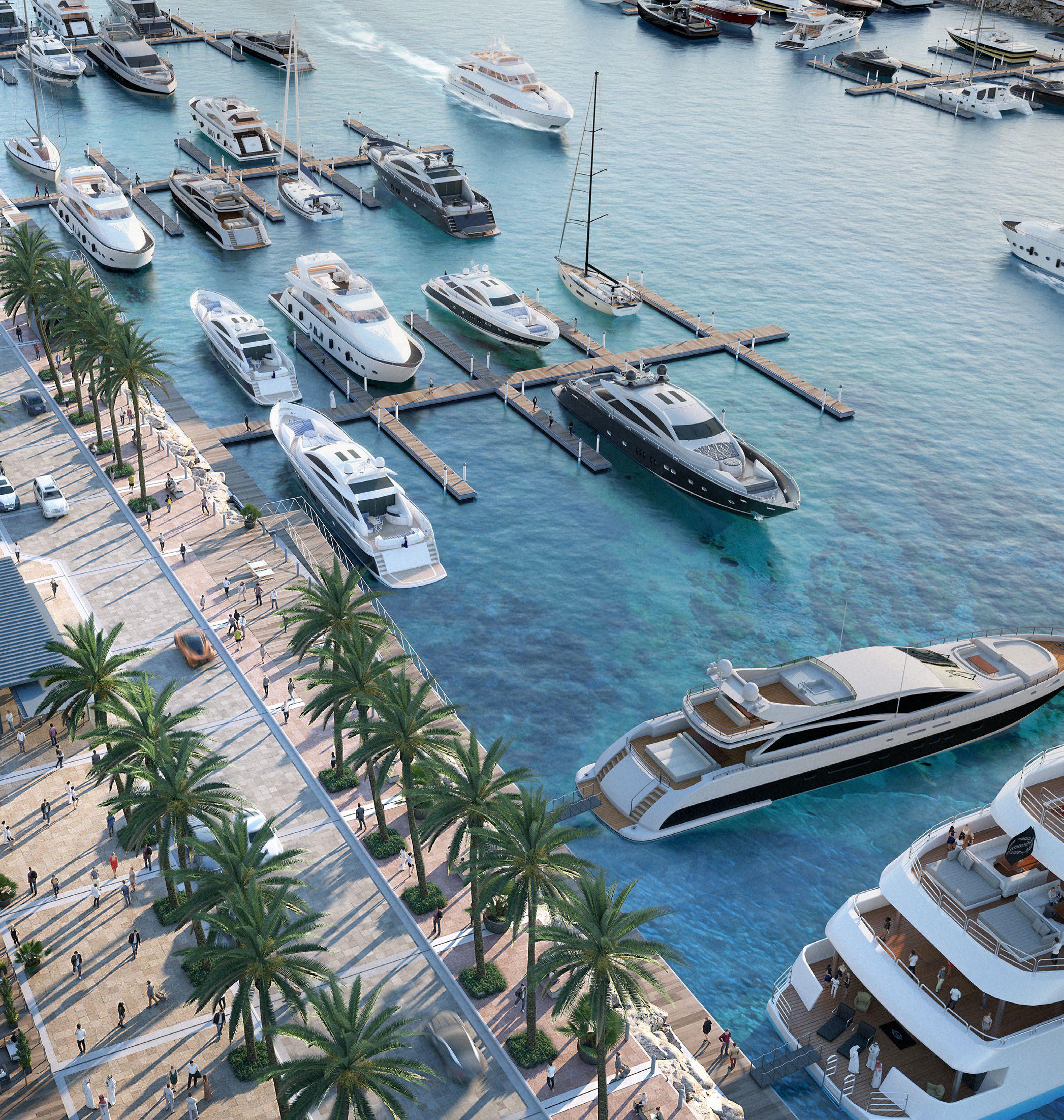 Ocean Cove Mina Rashid dubai